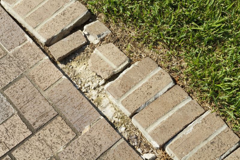 Entryway Brick Repair in Fredericksburg, VA